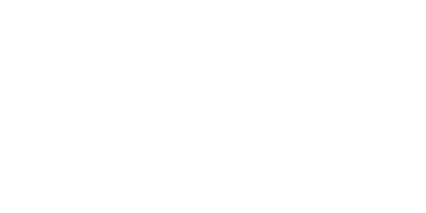 FS