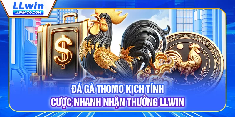 Đá Gà Thomo Kịch Tính, Cược Nhanh Nhận Thưởng LLWIN